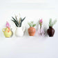 Mini Ceramic Vase Fridge Magnet
