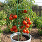 Adjustable Climbing Plant Support Trellis
