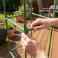Adjustable Climbing Plant Support Trellis