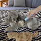Állat Szőrtelenítő KeFe – Raktáron & Utánvétes 🐶🧹
