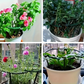 🌱🌺 Összekapcsolható növénygyűrűk☘️