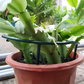 🌱🌺 Összekapcsolható növénygyűrűk☘️