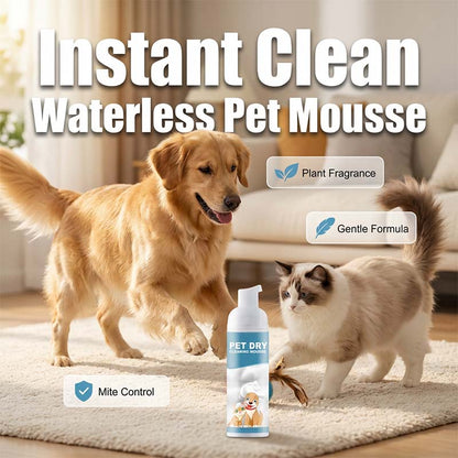 🐶 Kíméletes összetétel, a kiskutyák és kiscicák számára is biztonságos 🧼 Vízmentes tisztítóhab háziállatok számára – kifejezetten kiskutyák és kiscicák számára kifejlesztve | Kíméletes tisztítás, nem irritálja a bőrt, védi az érzékeny bőrt ✨