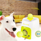 Automatic Dog Ball Launcher