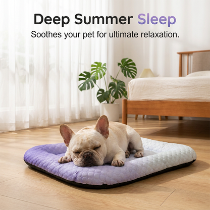 ❄️ Tartsa kedvencét hűvösen és kényelmesen – Önhűtő gél állatpárna – Utánvétes 🐾💤