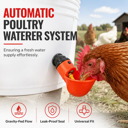 Gravity-Fed Automatic Chicken Waterer Cups