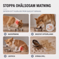 🐶 Emelt kutyatálak lassítóval és rozsdamentes acél tálak – Emelt étel- és itatótálak ✨
