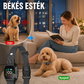 🐕 Fájdalommentes ugatásgátló nyakörv – rezgés és hang, nem sokk
